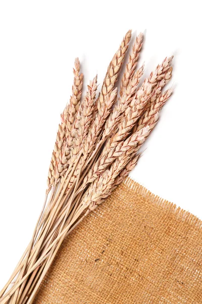 Sackcloth and wheat — Stock Photo, Image