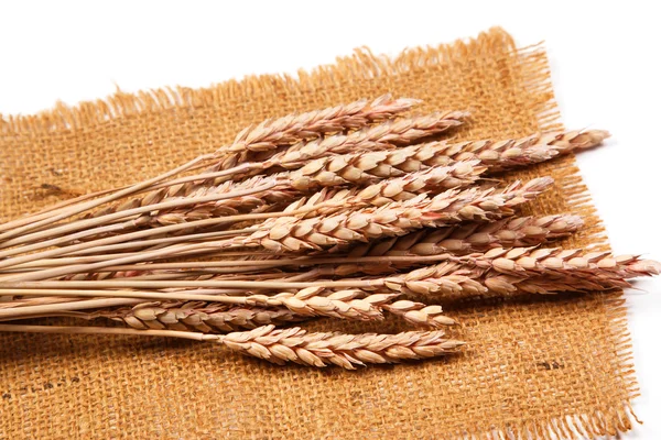 Sackcloth and wheat — Stock Photo, Image