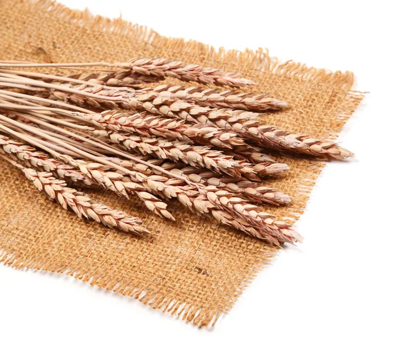 Sackcloth and wheat — Stock Photo, Image