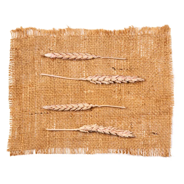 Sackcloth and wheat — Stock Photo, Image