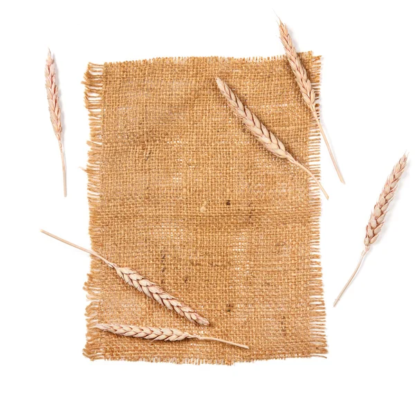 Pano de saco e trigo — Fotografia de Stock