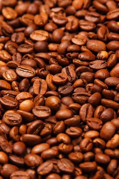 Coffee beans — Stock Photo, Image