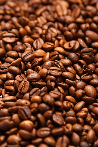 Coffee beans — Stock Photo, Image