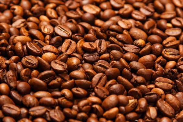 Coffee beans — Stock Photo, Image