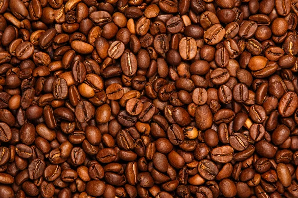 Koffiebonen — Stockfoto