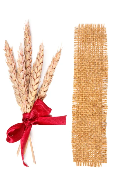 Sackcloth and wheat — Stock Photo, Image