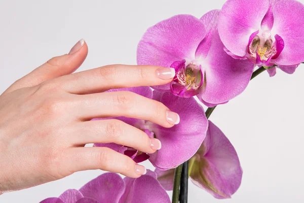 French manicure en orchideebloem — Stockfoto