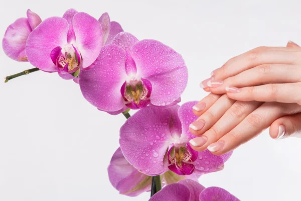 Французский маникюр и орхидея — стоковое фото