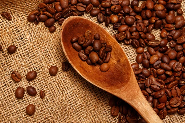 Kaffebönor och trä sked — Stockfoto