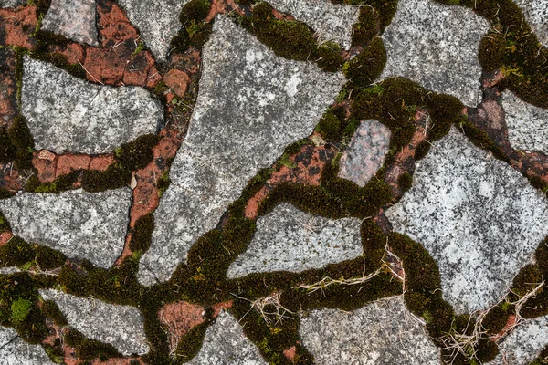 Stones and moss — Stock Photo, Image
