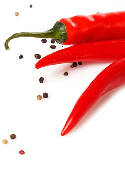 Red chili pepper — Stock Photo, Image