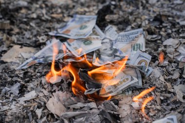 Finansal Kayıpları ve Atıkları Temsil Eden Küller Üzerine ABD Doları Faturaların Yanması.