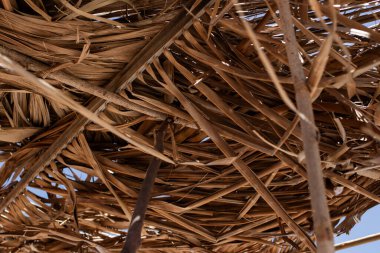  Thatched Roof için kullanılan Kurutulmuş Palmiye Yapraklarının Yakın Çekimi.