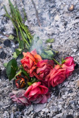 Küllerdeki Yanmış ve Yanmış Güller Kaybın ve Dönüşümün Sembolü