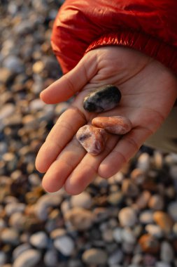 Rocky Sahili 'nde Renkli Çakıl Taşları.