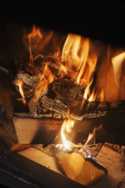 Sıcak Kış Ambiansı İçin Modern Cam Şöminede Yanan Odun.