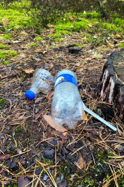 Ev atıklarından kaynaklanan çevre kirliliği. Plastik, ormanda duran bir şişedir. Çevresel sorunlar kavramı.