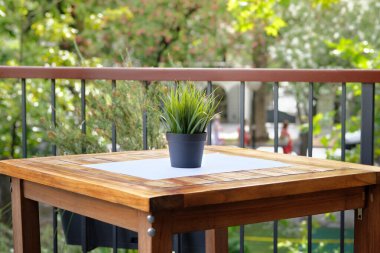 Sokak kafesinin ahşap masasında yeşil çiçekli çömlek. Yaz restoranının tasarımı..