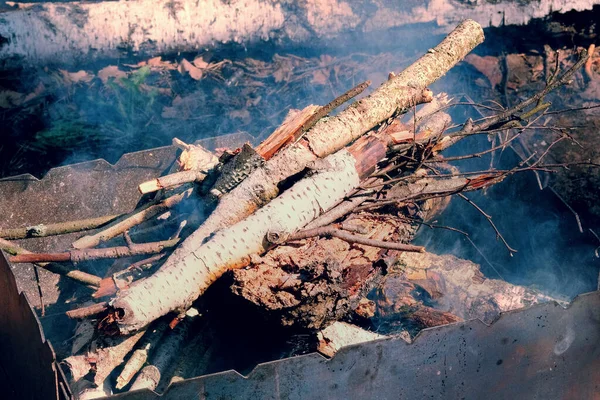 Leña Parrilla Preparada Para Barbacoa Bosques Ardiendo Humo Cerca Temporada —  Fotos de Stock