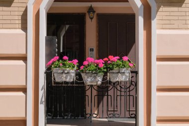 Şehrin peyzaj tasarımı. Çiçek açan saksılar ve bitkiler evin girişindeki pencerenin yanında duruyor. Konut tasarımı kavramı. 