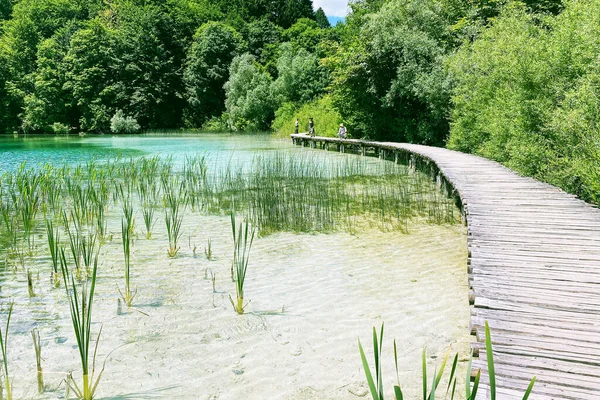 Temiz su boyunca ahşap köprü geçidi. Yolculukta yaz manzaraları. 