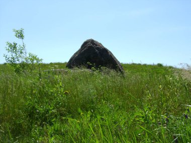Gök, Finlandiya 'da çimenli ve taşlı çayır