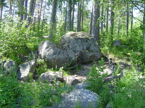 Pedras Madeira Finlandês Verão — Fotografia de Stock