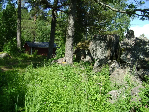 Vista Del Legno Estivo Della Casa Finlandia — Foto Stock