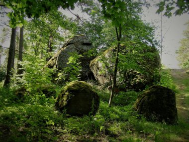 Yazın Finlandiya tahtası