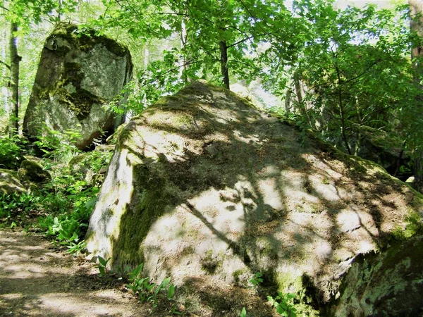 Big Rock Summer Wood Finland — Stock fotografie