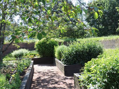 Çiçekli yataklar, Kotka, Finlandiya 'da bitki bahçesinde ağaçlar.