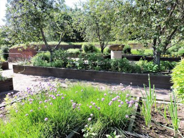 Çiçekli saksılar, Kotka, Finlandiya 'da yaz bahçesinde ağaçlar