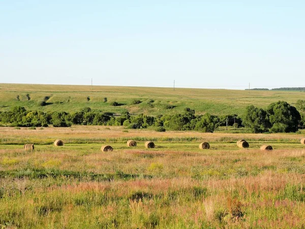 Blauwe Lucht Gouden Veld Met Balen Heuvels — Stockfoto