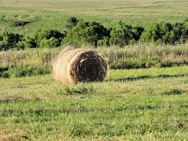 Ronde Hooibaal Groen Veld Hout — Stockfoto