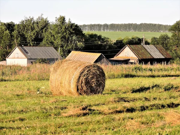村の木造住宅 野原の干し草の俵 — ストック写真