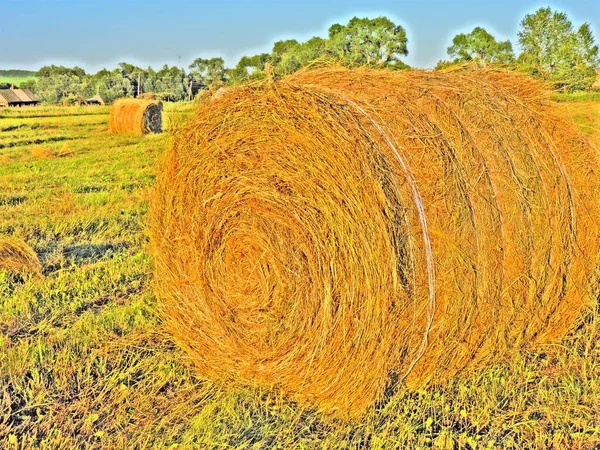 Nahaufnahme Von Goldenem Heuballen — Stockfoto