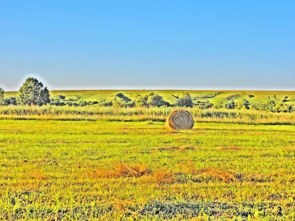 Helder Zomerlandschap Met Gouden Veld Blauwe Lucht — Stockfoto