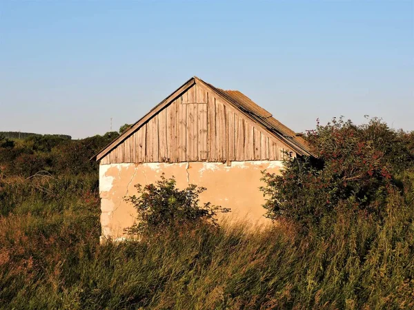 Altes Steinhaus Büsche Auf Dem Sommerfeld — Stockfoto