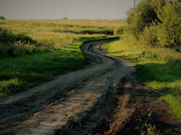 Route Rurale Dans Champ Vert — Photo