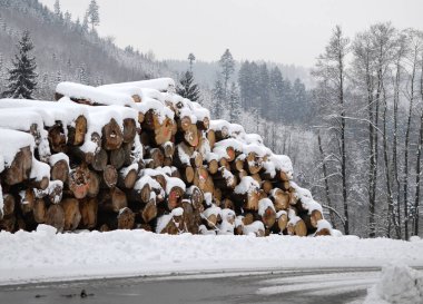 Kar Kışları Orman Kerestesi Orman Tahtası Ormansızlaşması