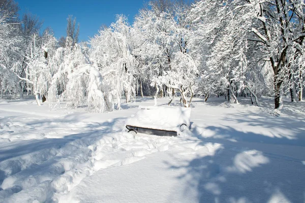 Banco Cubierto Nieve Parque Invernal Entre Árboles Cubiertos Nieve — Foto de Stock