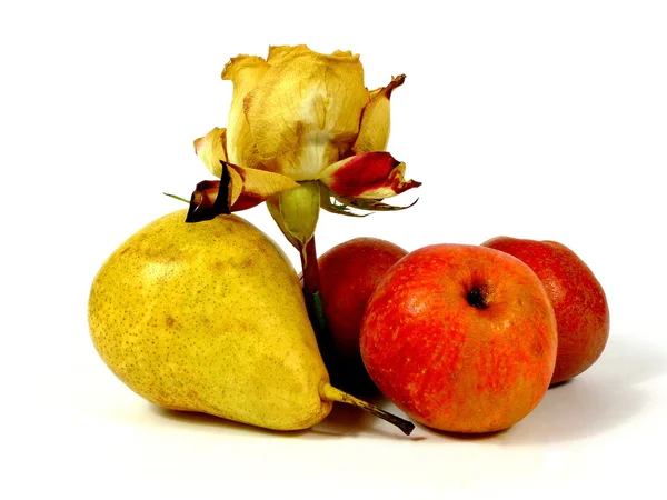 Fruits and rose — Stock Photo, Image