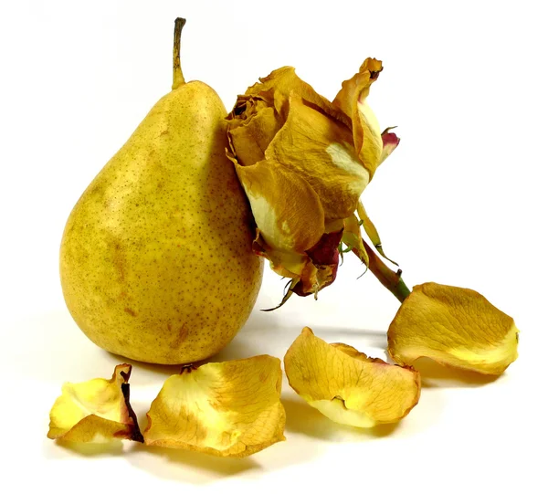 Pear with wilting rose — Stock Photo, Image
