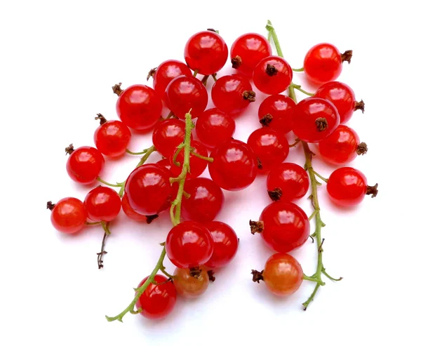 Currant — Stock Photo, Image