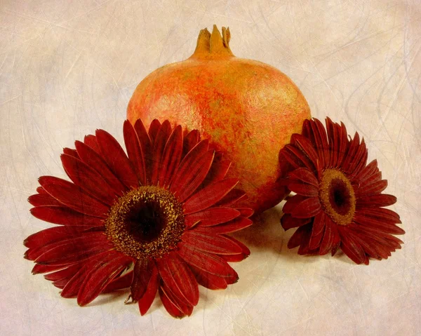 Pomegranate with gerbera — Stock Photo, Image