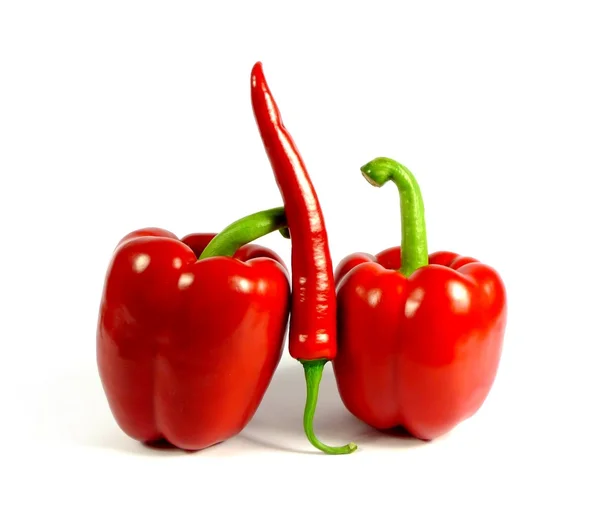 Paprika en chili — Stockfoto