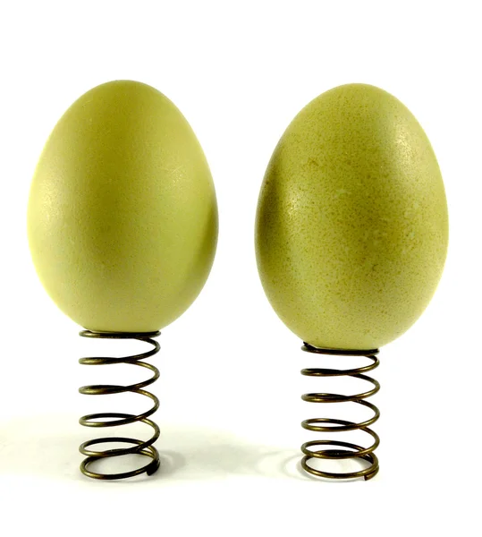 Green eggs — Stock Photo, Image