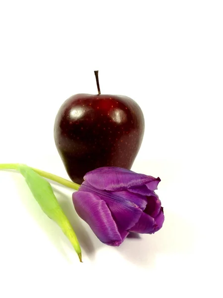 Apple with tulip — Stock Photo, Image