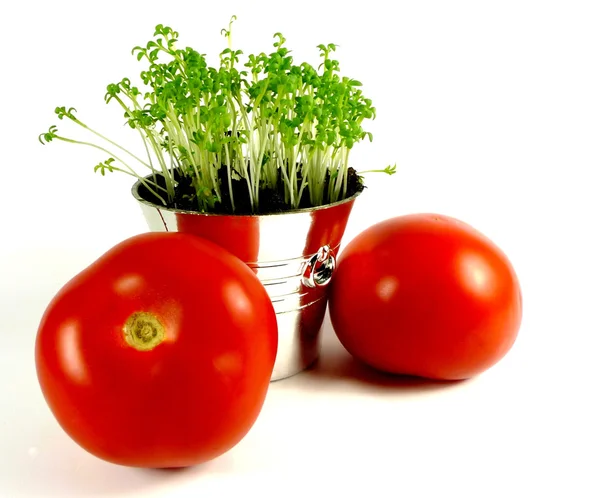 Tomate e agrião — Fotografia de Stock