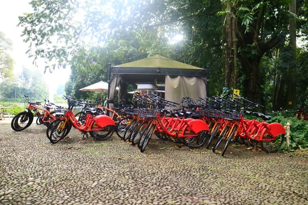 Bogor Indonesia Mayo 2021 Una Fila Bicicletas Alquiler Bicicletas Jardín — Foto de Stock